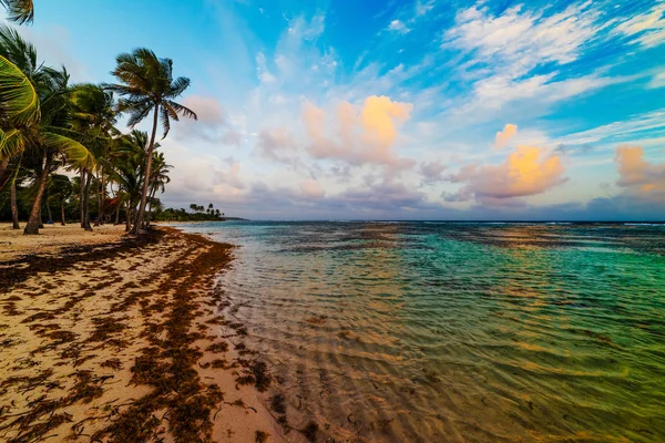 Festői naplemente Bois Jolán strandján Guadeloupe-on — Stock Fotó