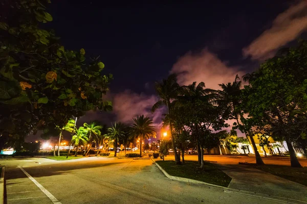 Na ostrově Watson v noci pod zamračený oblohou — Stock fotografie