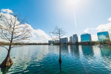 Orlando Lake Eola parkta su üzerine düşünceler