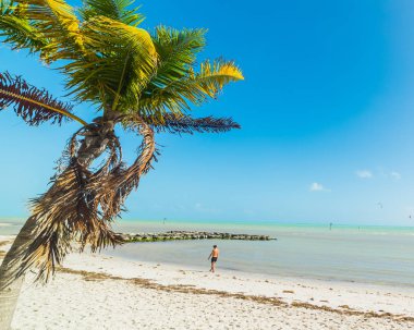 Key West'teki Smathers Plajı'nda kumda yürüyen adam
