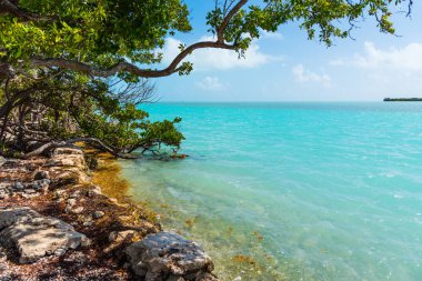 Florida Keys kıyısında turkuaz su