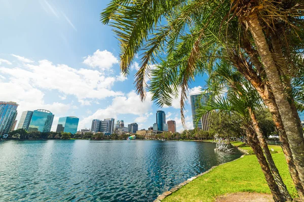 Orlando Lake Eola parkta Palmiye ağaçları ve gökdelenler