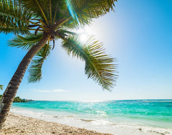 Солнце, сияющее над пляжем Raisins Clairs в Гваделупе — стоковое фото