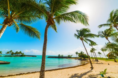 Beach chair in Bas du Fort beach in Guadeloupe clipart