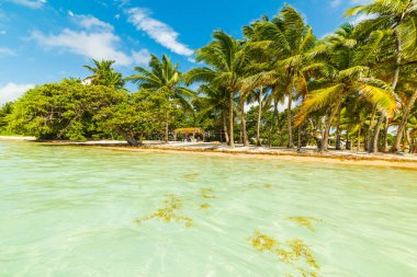 Bois Jolan beach in Guadeloupe clipart