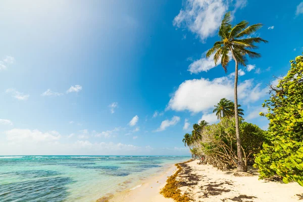 Güneşli bir günde Guadeloupe La Caravelle plaj
