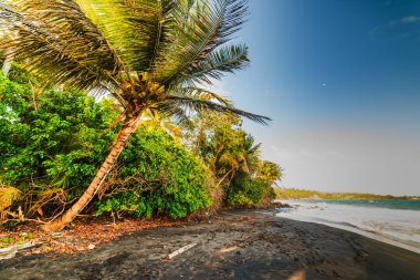 Gün batımında Guadeloupe Grande Anse beach