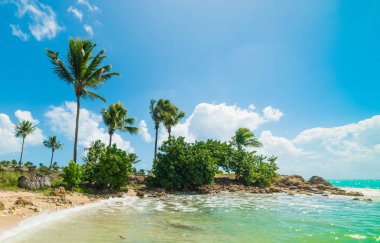 Guadeloupe'deki Bas du Fort koyu