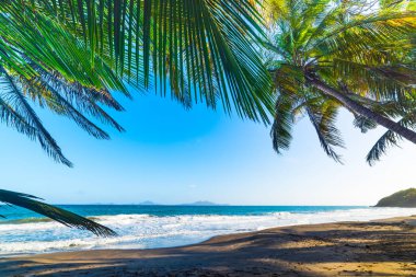 Guadeloupe'deki Grande Anse plajı