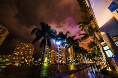 Miami nehir yürüyüşünde palmiye ağaçları ve gökdelenler geceleri