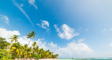 Guadeloupe La Caravelle plaj üzerinde Mavi gökyüzü