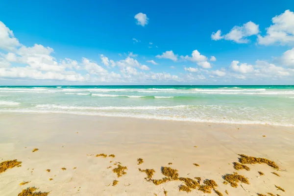 Turkos vatten och vit sand i världsberömda South Beach — Stockfoto