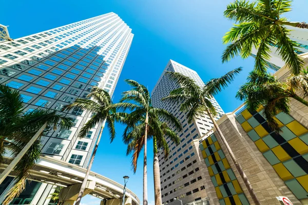 Небоскрёбы и пальмы в центре Майами в солнечный день — стоковое фото