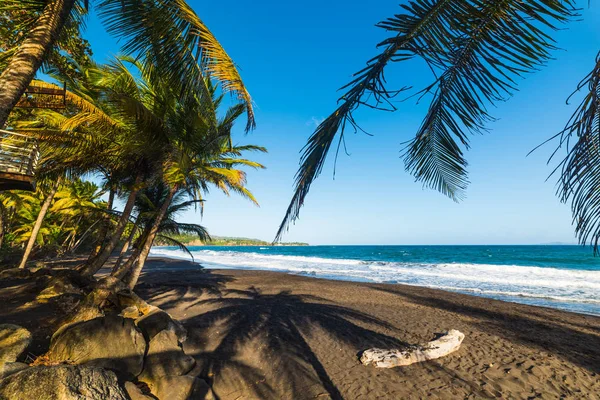 Spiaggia Grande Anse in Guadalupa — Foto Stock