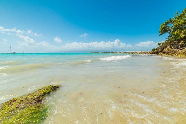 Acqua turchese nella spiaggia di La Datcha in Guadalupa — Foto Stock