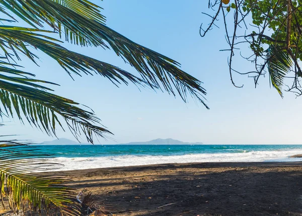 Arena oscura y palmeras de coco en la playa Grande Anse — Foto de Stock