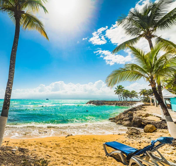 Cadeira de praia e coqueiros na praia de Bas du Fort — Fotografia de Stock