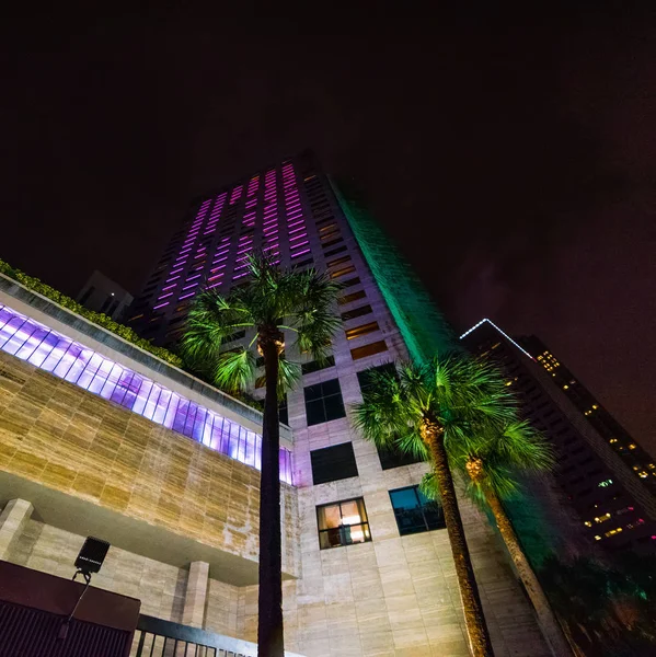 Colorful skyscrapers and palm trees in downtown Miami at night — Stock Photo, Image