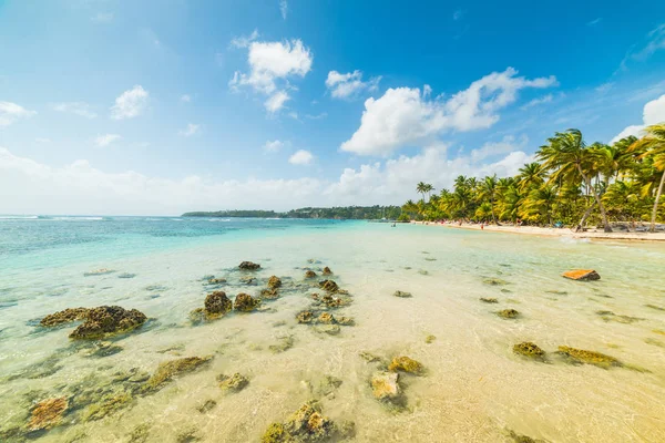 Clear water in La Caravelle beach in Guadeloupe — Stock Photo, Image