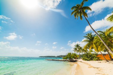 Guadeloupe La Caravelle plaj üzerinde parlayan güneş