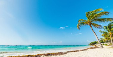 Guadeloupe güneşli bir günde Paradise plaj