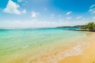 Guadeloupe La Caravelle plajda güzel sahil