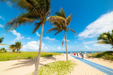Güneşli bir günde Pompano Beach sahilde insanlar