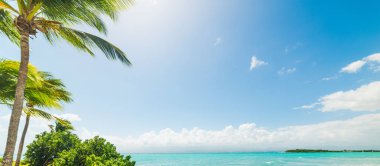 Guadeloupe Bas du Fort plajda berrak su