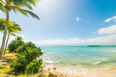 Guadeloupe Bas du Fort plaj
