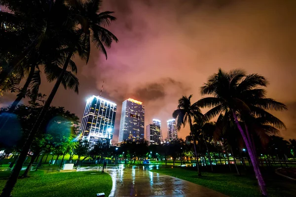 Bayfront park with skyscrapers on the background at night — Stock Photo, Image