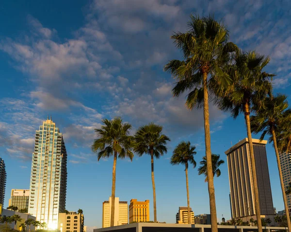 Gratte-ciel dans le centre de Tampa au coucher du soleil — Photo