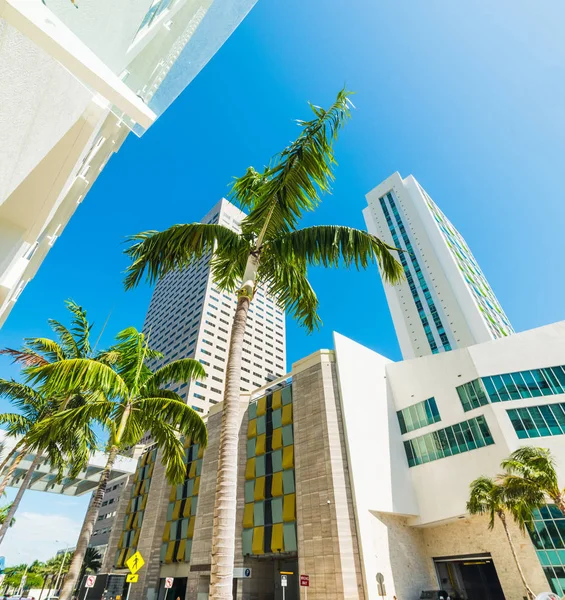 Centrum Miami pod jasnou oblohou — Stock fotografie