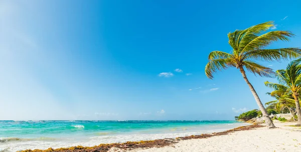 Paradise Beach på en solig dag i Guadeloupe — Stockfoto