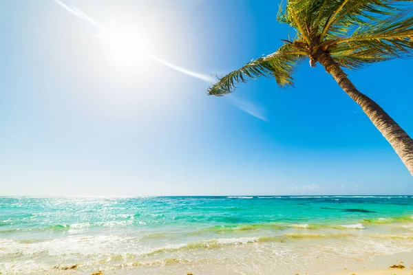 Playa tropical en Guadalupe — Foto de Stock