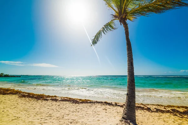 Raisins Clairs praia em Guadalupe em um dia ensolarado — Fotografia de Stock