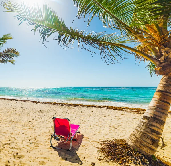 Pink beach chair under palm trees in Raisins Clairs beach — Stock Photo, Image