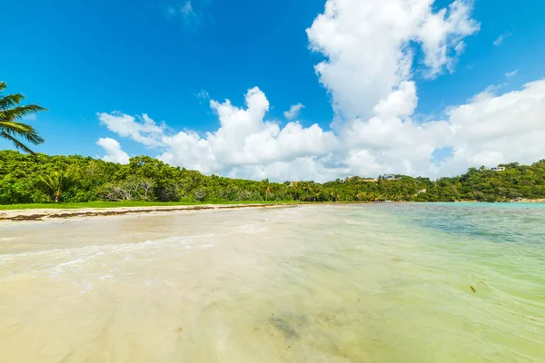 Agua clara en la playa de Pointe de la Saline en Guadalupe — Foto de Stock