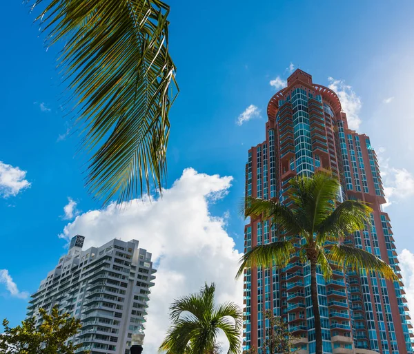 Pálmafák és felhőkarcolók Miami Beach-en, tiszta napon — Stock Fotó