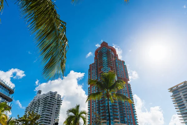 Palmeras y rascacielos en Miami Beach — Foto de Stock