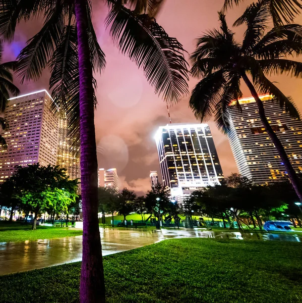 Palmeiras em Bayfront Park no centro de Miami à noite — Fotografia de Stock