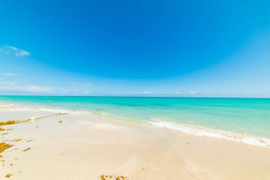 Güneşli bir günde Miami Beach Renkli sahil