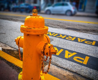 Ocean Drive'da yolun kenarındaki hidrant