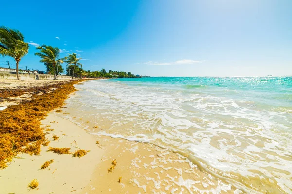 Sole splendente sulla spiaggia Raisins Clairs in Guadalupa — Foto Stock