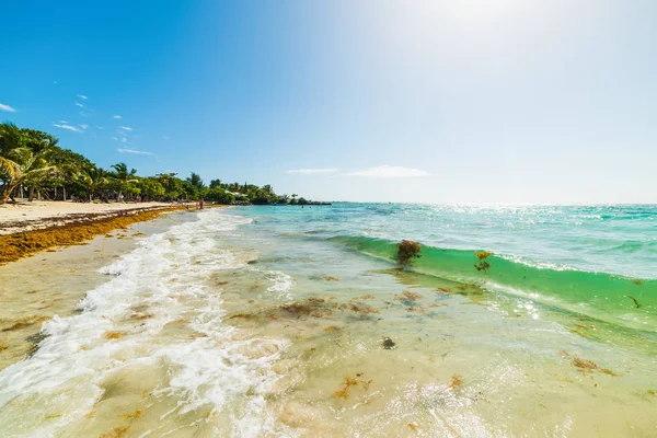 Pequeña ola en Rasins Clairs playa en Guadalupe —  Fotos de Stock