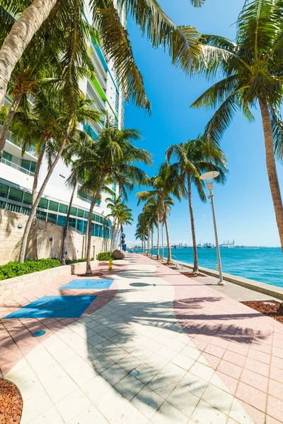 Nádherná promenáda v Miami Riverwalk za slunečného dne — Stock fotografie