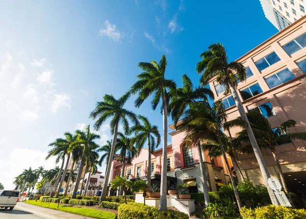 Palmeras y elegantes edificios en West Palm Beach — Foto de Stock