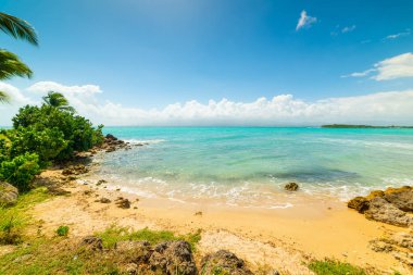 Guadeloupe Bas du Fort plajda berrak su ve mavi gökyüzü
