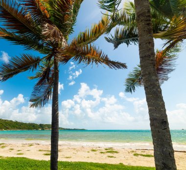 Guadeloupe Pointe de la Saline plaj