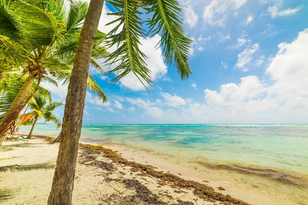 Bois Jolan beach in Guadeloupe, — Stock Photo, Image