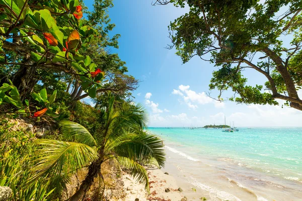 Pestrobarevné pobřeží La Datcha na Guadeloupe — Stock fotografie